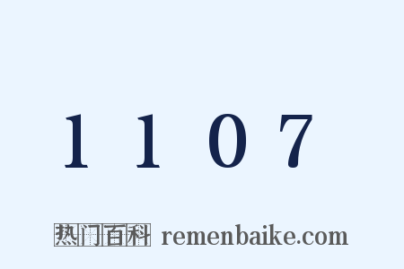 1107是什么意思的图片